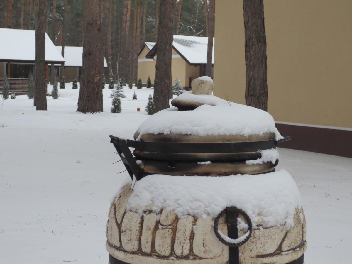 Park-Hotel Tihiy Les Prokhorovka 외부 사진